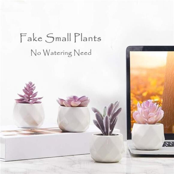 Fake Succulent Plant Set - Artificial Desk Plants for Women Desk -Faux Succulent - Picture 11 of 14